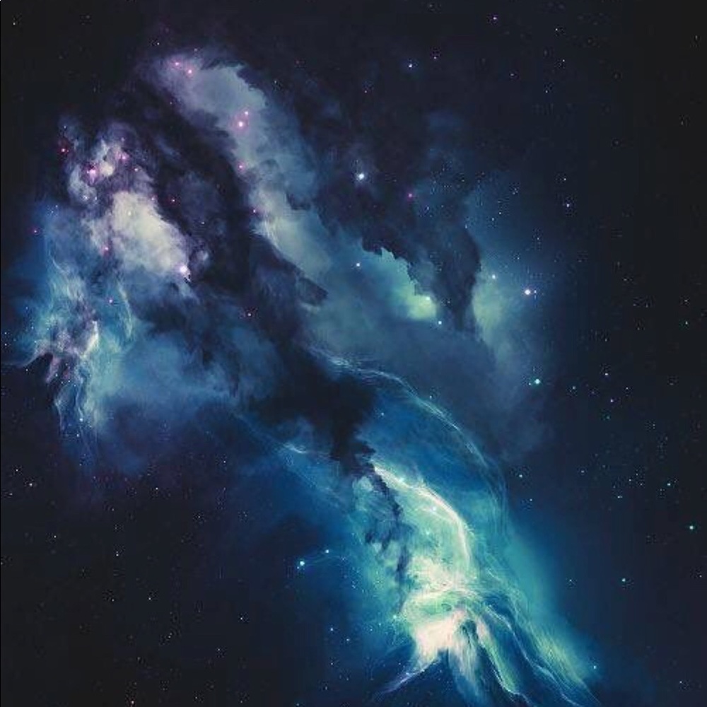 Meet your Posher, Janette